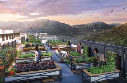 Ramah-Pavilion-rooftop-farming-deck_cc6_1068