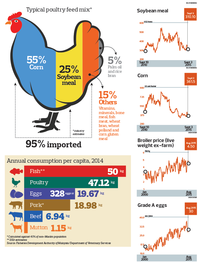 poultry-farmers-face-spectre-of-high-feed-cost-the-edge-markets