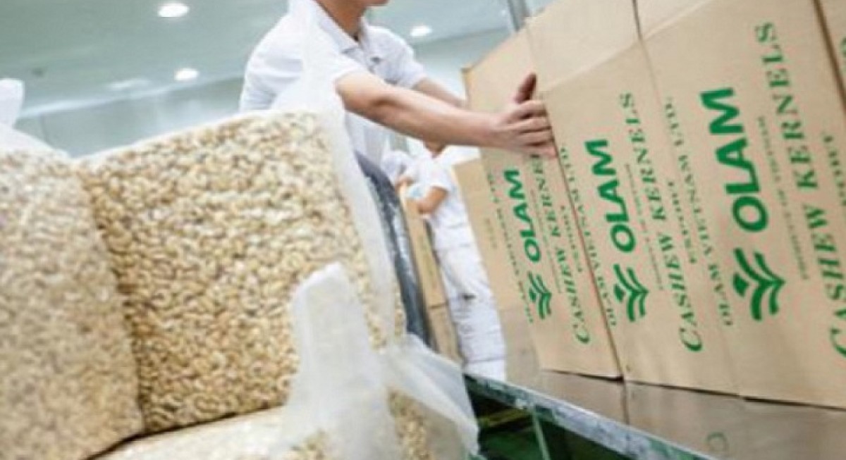 Olam International acquires 51% stake in Togo's state-owned cotton company for $24.4 mil - THE EDGE SINGAPORE